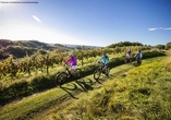 Erkunden Sie die wunderschöne Steiermark auf dem Fahrrad.