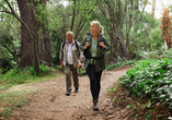 Genießen Sie Ihre Auszeit zwischen Vogelstimmen und weitem Grün beim Wandern.