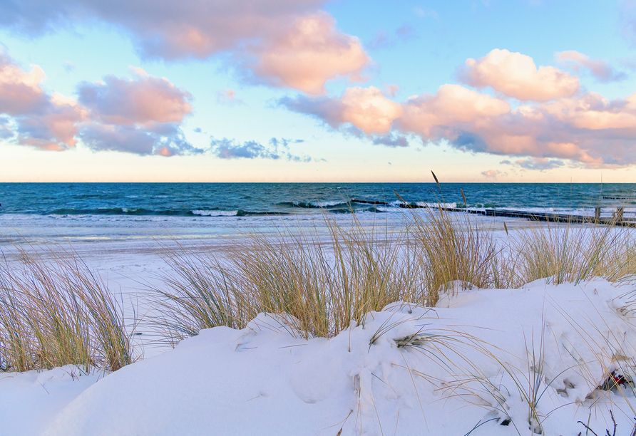Willkommen zu Ihrem unvergesslichen Silvesterurlaub an der Ostsee!