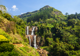 Die majestätischen Ramboda Wasserfälle stürzen 109 Meter in die Tiefe.