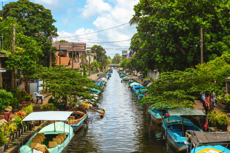 Genießen Sie traumhafte Ausblicke bei einer Bootsfahrt auf dem Hamilton Kanal bei Negombo.