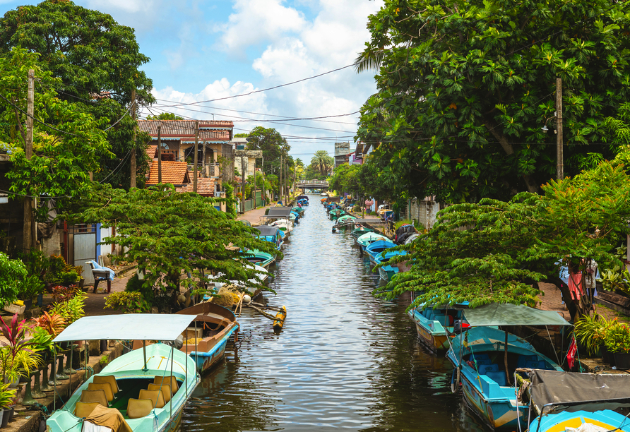 Genießen Sie traumhafte Ausblicke bei einer Bootsfahrt auf dem Hamilton Kanal bei Negombo.