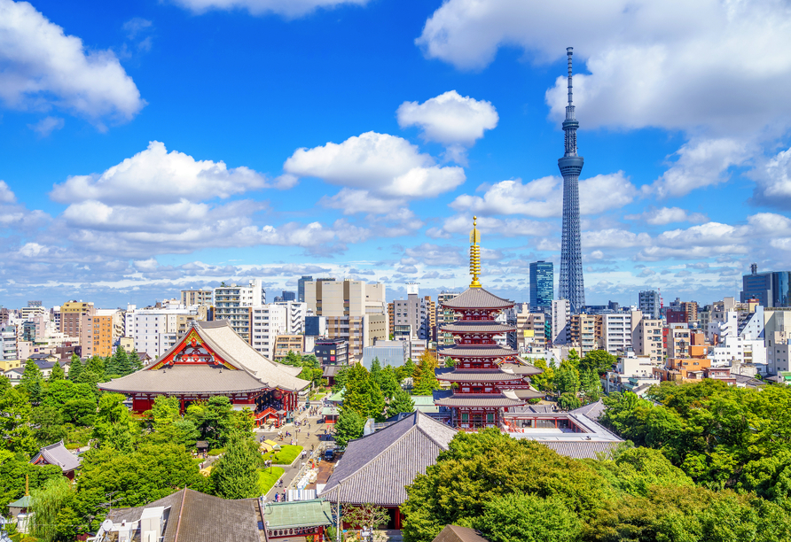 Die atemberaubende Weltstadt Tokio wird Sie in ihren Bann ziehen! 