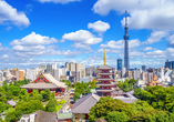 Die atemberaubende Weltstadt Tokio wird Sie in ihren Bann ziehen! 
