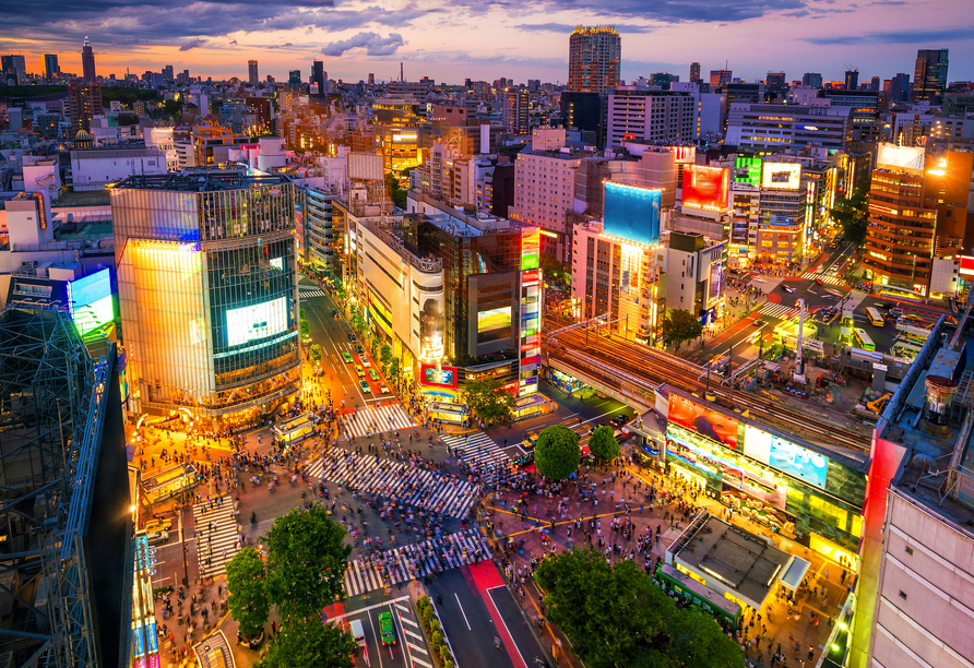 Wussten Sie dass die Shibuya-Crossing in Tokio täglich von bis zu 250.000 Menschen überquert wird?