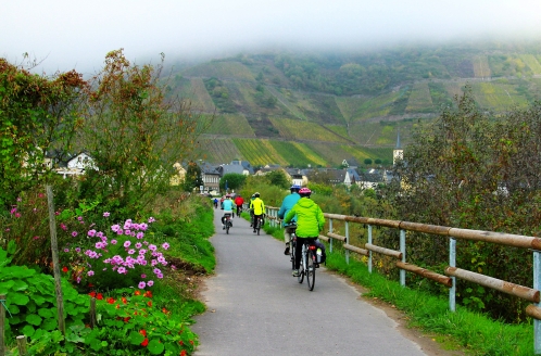 Genießen Sie die Ruhe und die Freiheit auf dem Fahrrad.