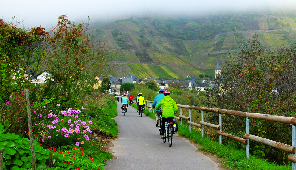 Genießen Sie die Ruhe und die Freiheit auf dem Fahrrad.