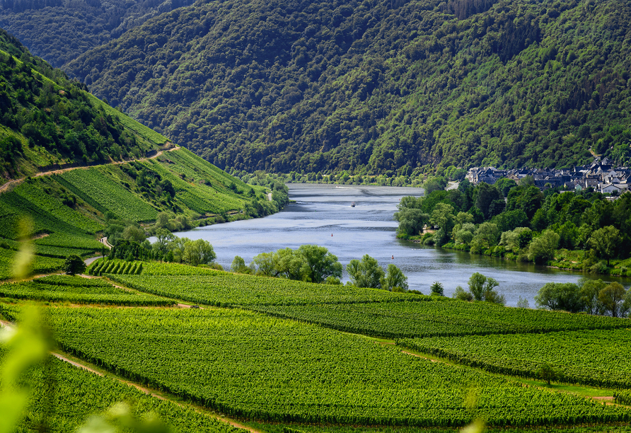 Lassen Sie sich von den Weinbergen und dem satten Grün des Moseltals verzaubern.