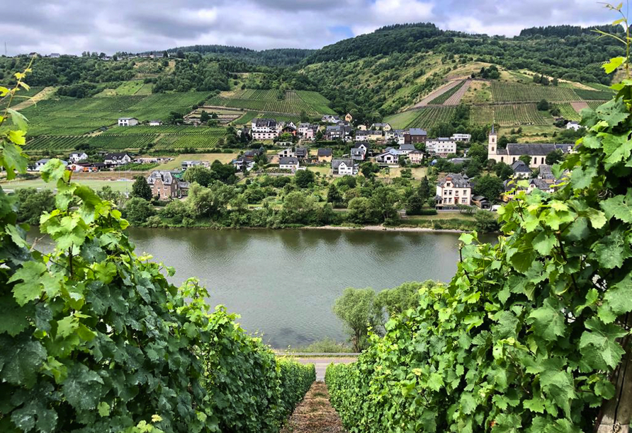Freuen Sie sich auf dieser Radkreuzfahrt auf zwei der bekanntesten Weinanbaugebiete in Deutschland.