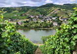 Freuen Sie sich auf dieser Radkreuzfahrt auf zwei der bekanntesten Weinanbaugebiete in Deutschland.