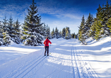 Im Winter verwandelt sich die Region in ein wahres Winterwunderland, das sich perfekt fürs Skifahren eignet.