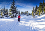 Direkt in Bad Flinsberg erwartet Sie im Winter ein kleines Skigebiet mit moderner Gondelbahn, Langlaufloipen u. v. m.