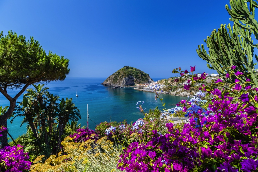 Exotische Pflanzen verleihen Ischia eine natürliche und paradiesische Schönheit.