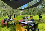 Nutzen Sie das Ausflugspaket Gardasee, um die besten Weine der Gegend zu verkosten.