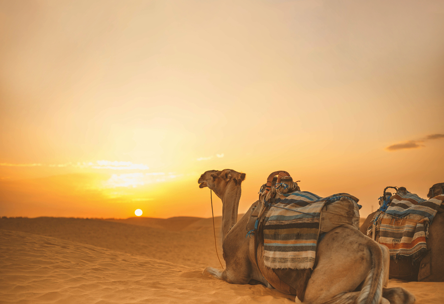 Wie wäre es an den freien Tagen mit einem Ausflug in die Wüste?