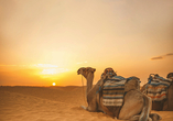Wie wäre es an den freien Tagen mit einem Ausflug in die Wüste?