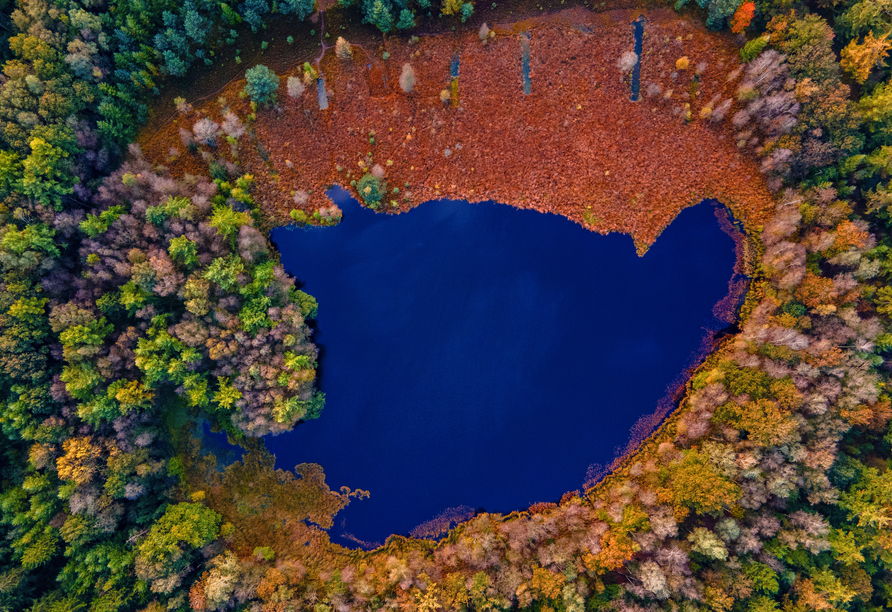 Luftbild eines Sees im Nationalpark Drentsche Aa