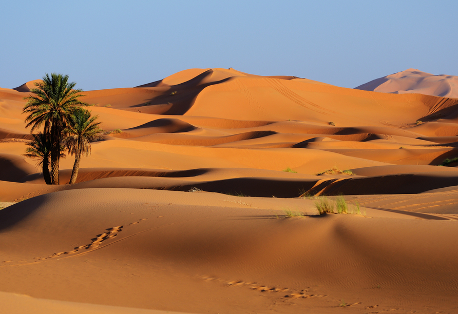 Marokko birgt eindrucksvolle Wüstenlandschaften.