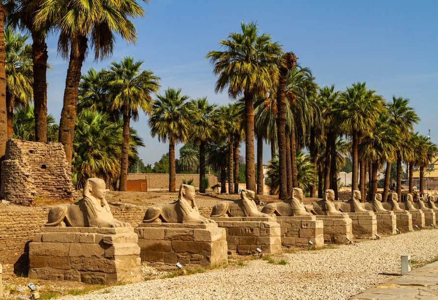 Einst waren die Tempel von Karnak und Luxor durch eine 2,5 Kilometer lange Allee miteinander verbunden, gesäumt von 365 Sphinxen. 