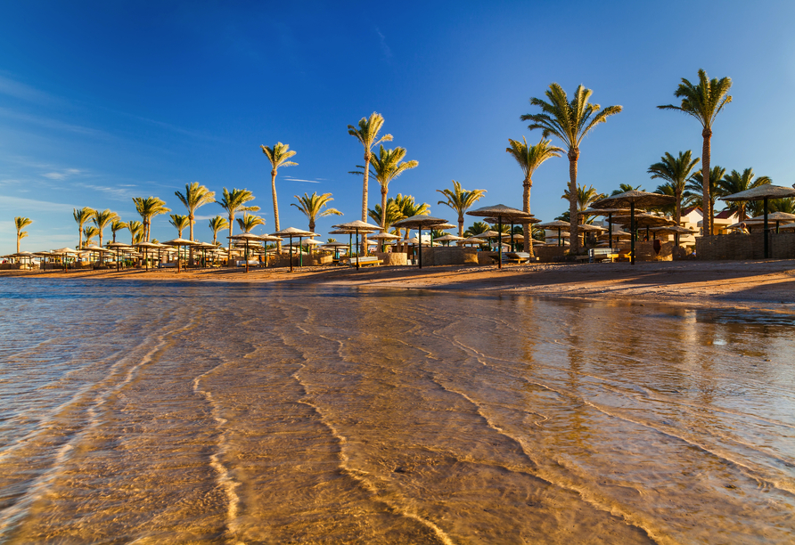 Hurghada beeindruckt mit zahlreichen Stränden und einer farbenfrohen Unterwasserwelt. 