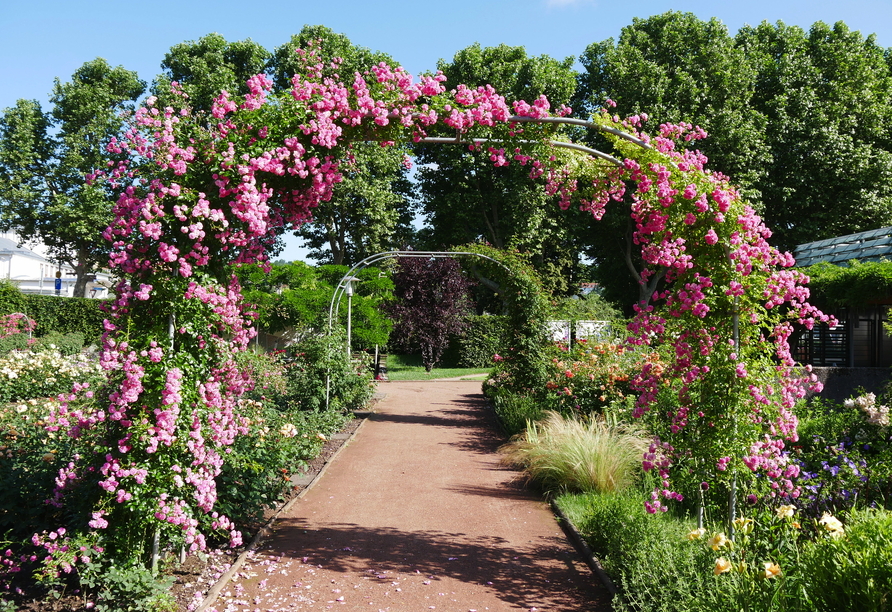 Machen Sie einen Ausflug in den herrlichen Rosengarten in Zweibrücken.