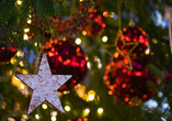 Wir wünschen Ihnen Frohe Weihnachten!