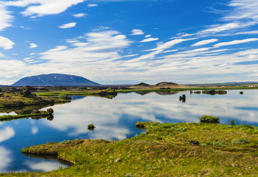 Das Gebiet rund um den Mývatn See ist ein Paradies für Naturliebhaber.
