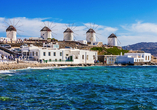 Die berühmten Windmühlen auf Mykonos werden Sie begeistern.