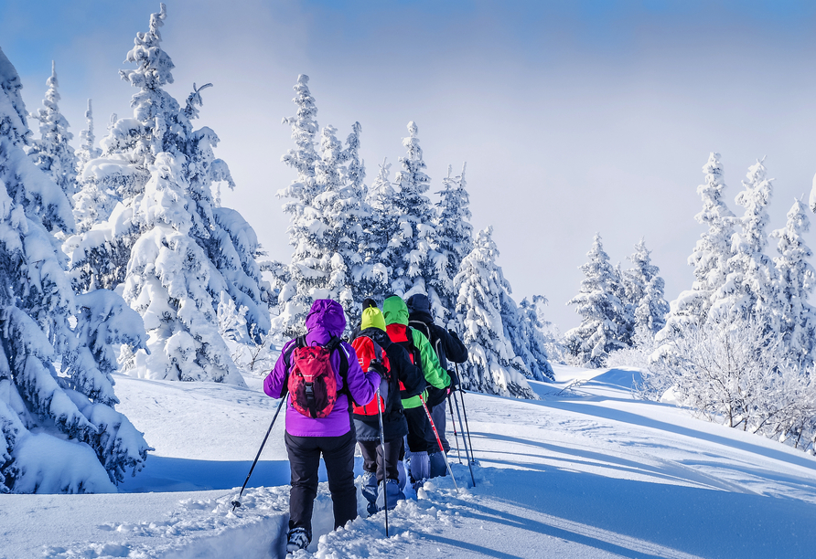 Die malerische Schneelandschaft können Sie gemeinsam beim Schneeschuhwandern entdecken.