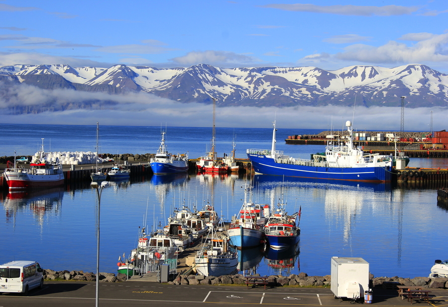 Der malerische Hafen von Akureyri in Island.