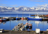 Der malerische Hafen von Akureyri in Island.