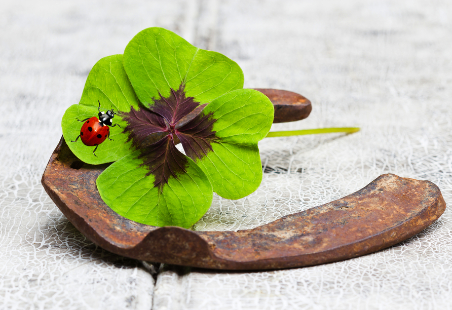 Viel Glück im neuen Jahr!