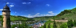 Blick auf Zell an der Mosel