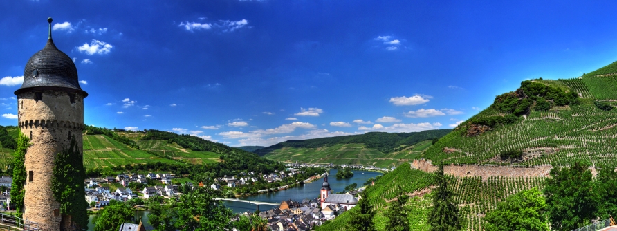 Blick auf Zell an der Mosel