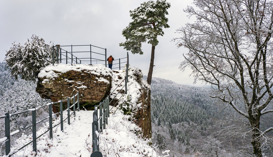 Genießen Sie den Blick vom Aussichtsfelsen der Ruine Guttenberg über den verschneiten Pfälzerwald.