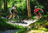 Mountainbiketouren durch die Wälder rund um Flachau versprechen abwechslungsreiche Naturerlebnisse.