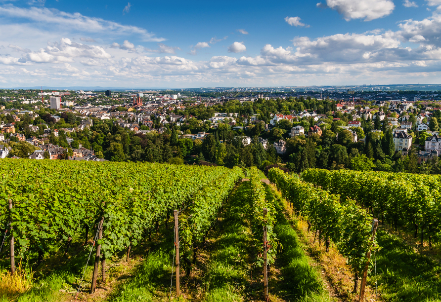 Blick auf Wiesbaden