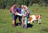 Gemeinsam unterwegs durch die Flachauer Bergwelt bieten sich herrliche Wandererlebnisse.