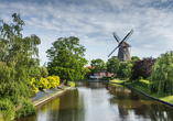 Bestaunen Sie die historische Windmühle in Hinte bei Emden.