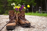Freuen Sie sich auf traumhafte Wanderungen in der Umgebung. 