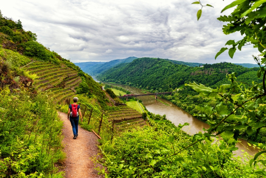 Entlang der Weinberge schlängeln sich atemberaubende Wanderwege.