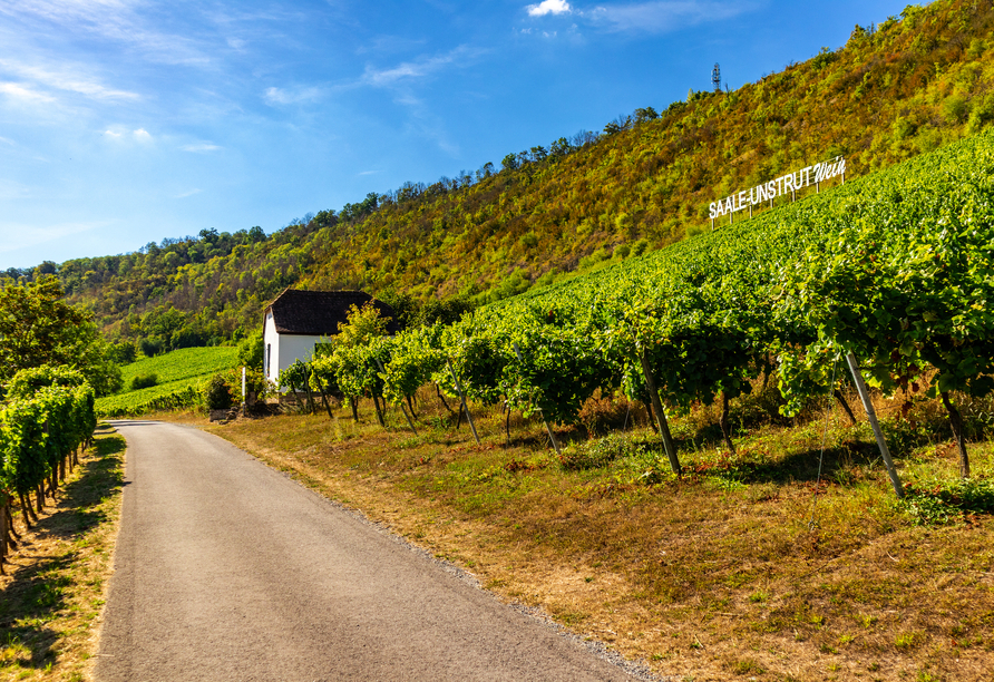 Saale-Unstrut ist eine ausgezeichnete Weinregion.
