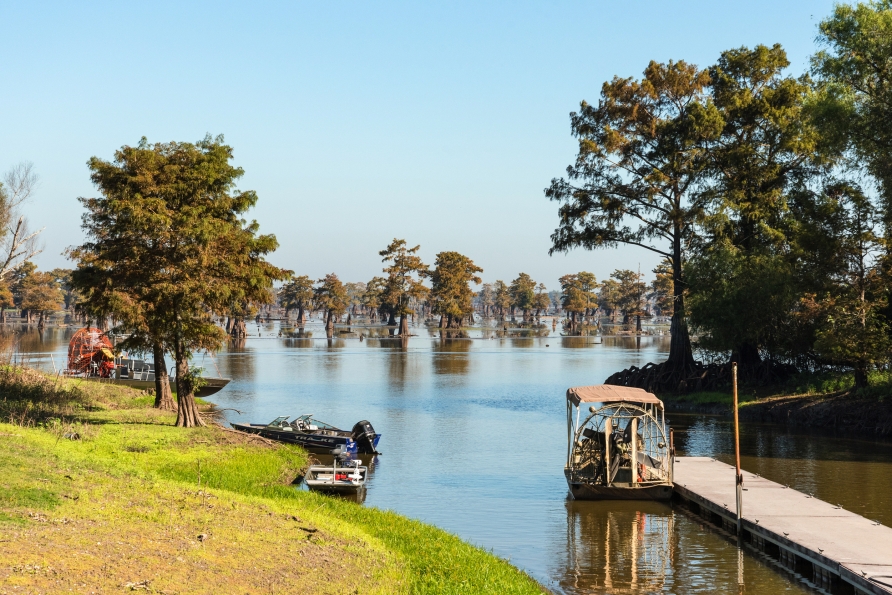 Ein Höhepunkt Ihrer Reise ist die Sumpfbootfahrt durch die Bayous, gigantische, ökologisch wichtige Sumpfgebiete im Mississippi-Delta.