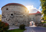 Turm der Dicken Margarethe in Tallinn