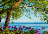 Aqua Hotel & Hostel, Blumen Bodensee