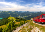 Bei einer Fahrt mit der Schafbergbahn können Sie einen traumhaften Ausblick genießen.