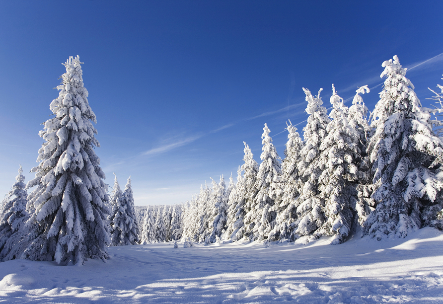 Seehotel Schloss Klink, Winterlandschaft