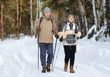 Unternehmen Sie eine Wanderung im verschneiten Winterwald.