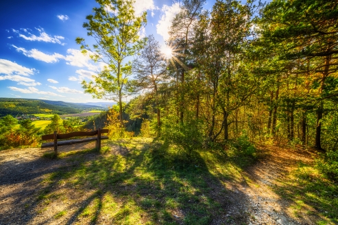 Erleben Sie einen schönen Urlaub im Thüringer Wald.