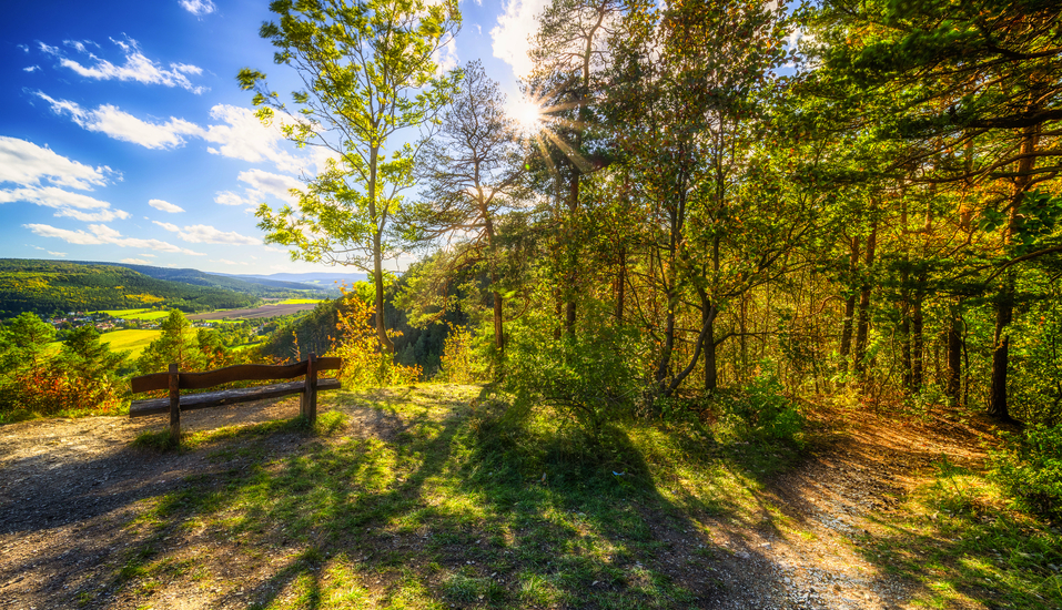 Erleben Sie einen schönen Urlaub im Thüringer Wald.